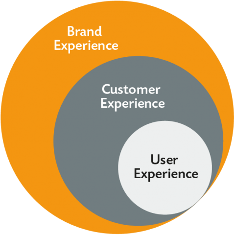 Digital Brand Experience Infografik