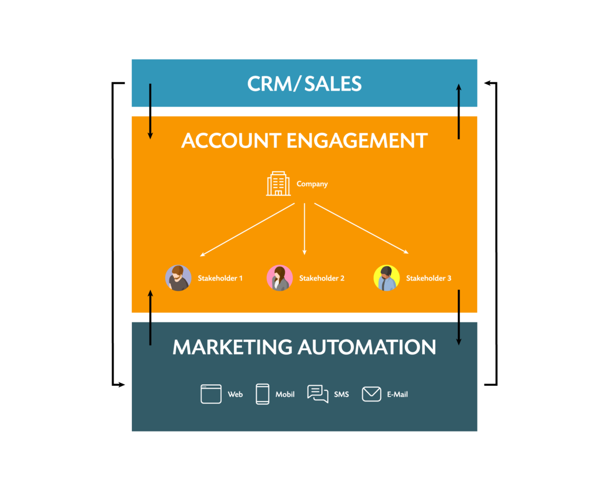 SAP Emarsys B2B Account Engagement - Infografik