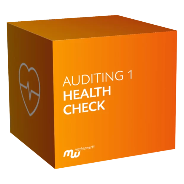 Auditing - Paket 1 - Health Check