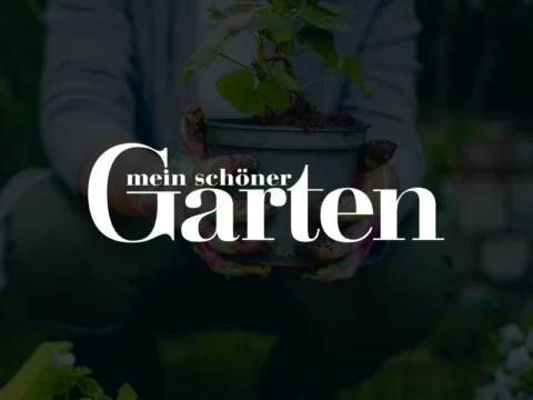Mein schöner Garten